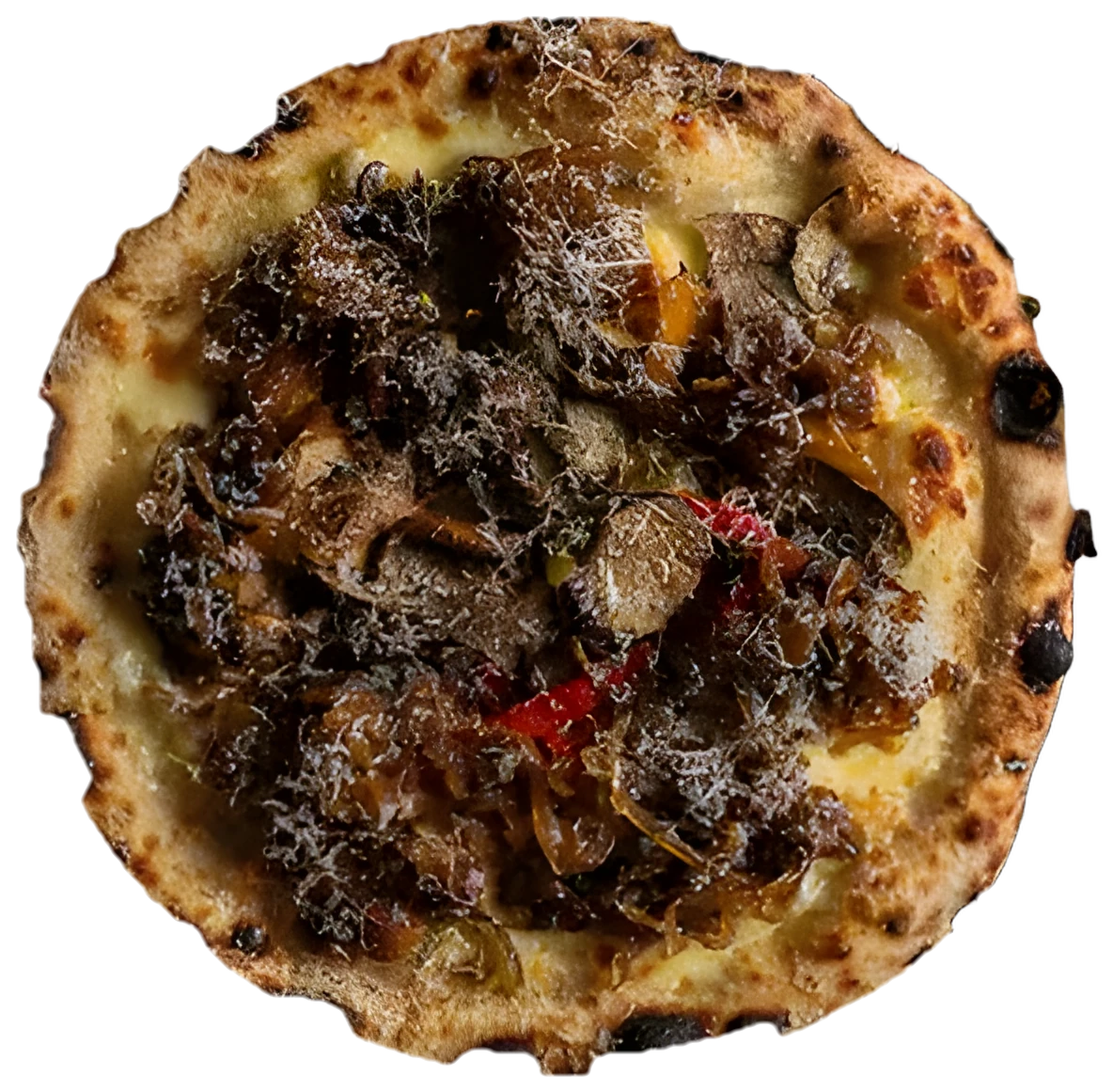 Portobellos