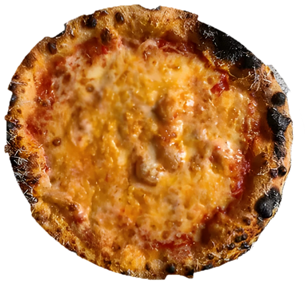 Provolone